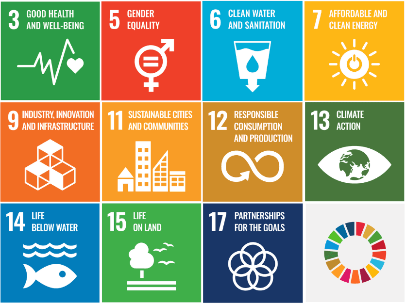 UN SDG 2